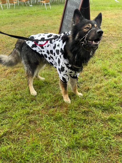 Cow Print Pyjamas