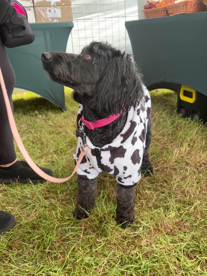Cow Print Pyjamas
