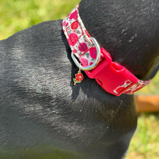 English Rose Patterned Adjustable Dog Collar All Breeds Various Sizes