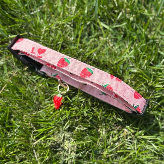 Strawberry Patterned Adjustable Dog Collar All Breeds Various Sizes